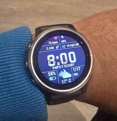 Garmin Fenix 6S Smartwatch