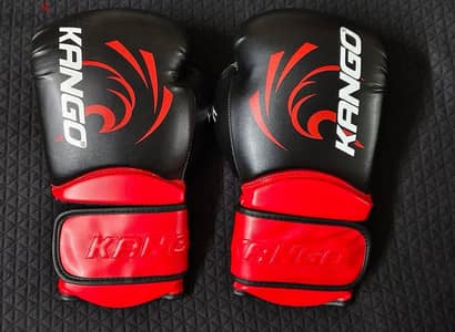 kango boxing gloves