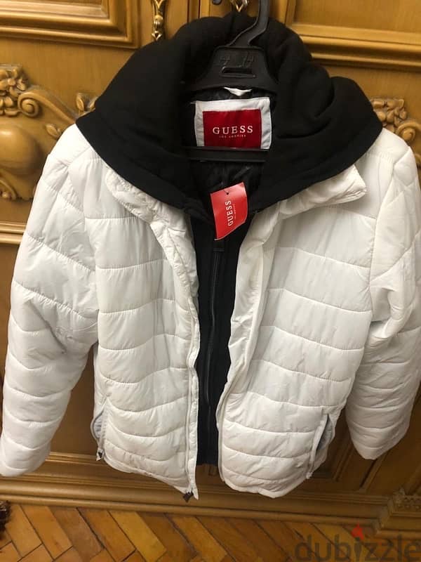 Jacket guess original 2