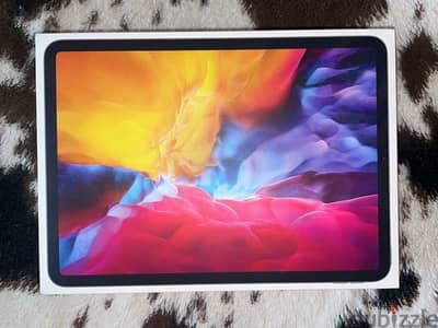 Ipad pro 11-inch 512 gb (2nd generation)