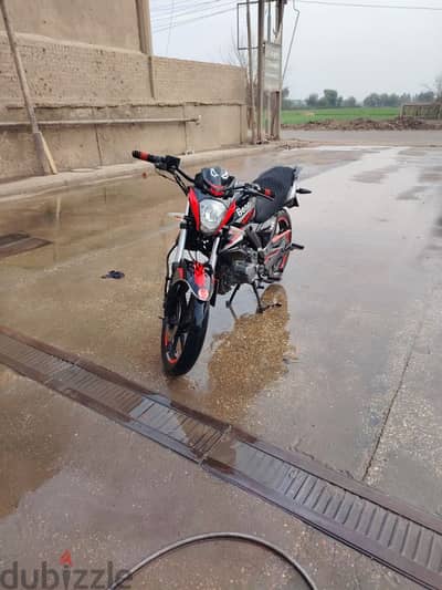 بينيلي رخصة سارية Benelli vlr Sport 150 cc 2016