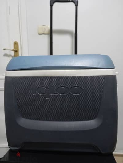 ايس بوكس ايجلو امريكي Ice box IGLOO  MaxCold Island breeze 62qt