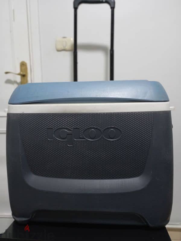 ايس بوكس ايجلو امريكي Ice box IGLOO  MaxCold Island breeze 62qt 0