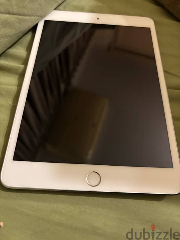 ipad mini 3 0