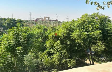 Villa for rent in Madinaty, View Wide Garden, in front of the central park, the Grand Mosque, and Madinaty Club. The required monthly rent is 45 thous