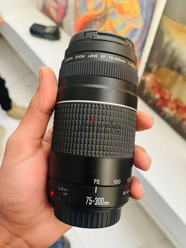 Canon EF 75-300mm f/4-5.6 Ill  لينس كانون 1