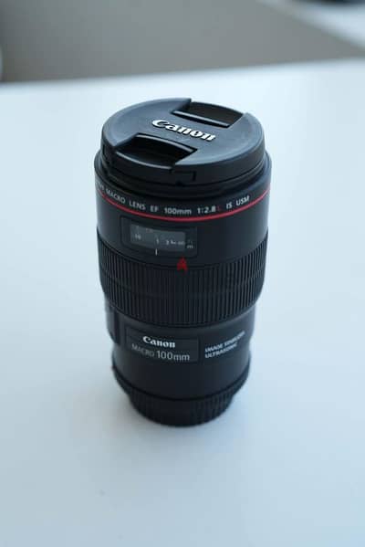 canon macro lens 100mm 2.8 IS