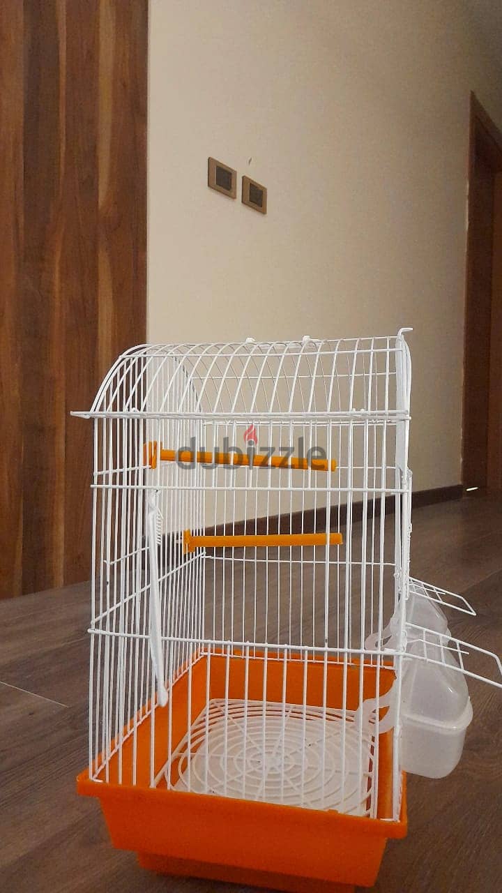 New Birds Cage قفص عصافير جديد 1