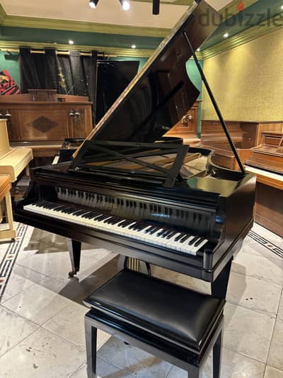 Piano grand for a professional pianist