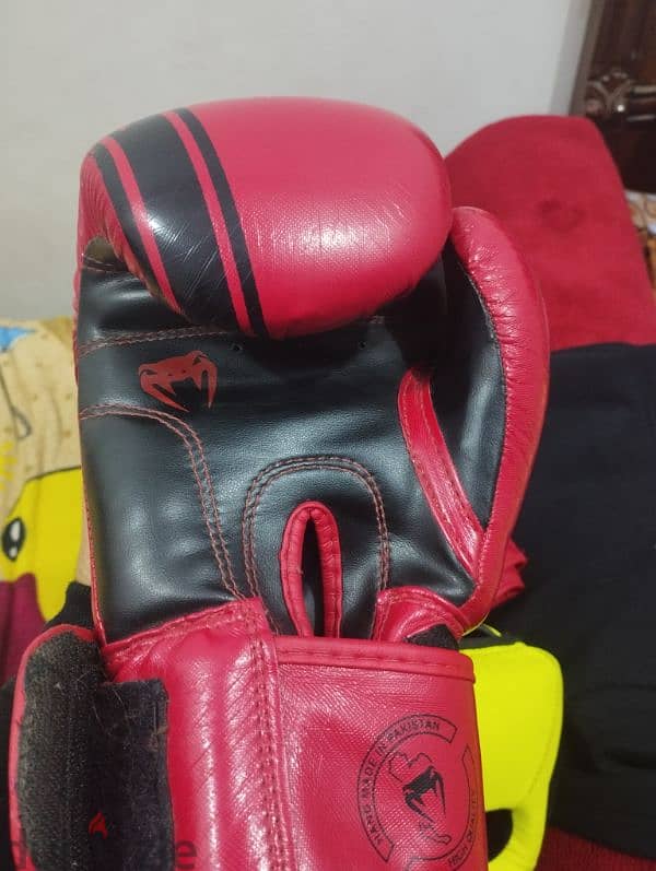 gloves venum wbc جلافز فينوم جلافز ملاكمه 2