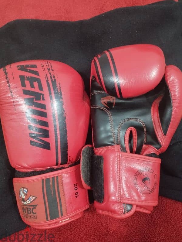 gloves venum wbc جلافز فينوم جلافز ملاكمه 3