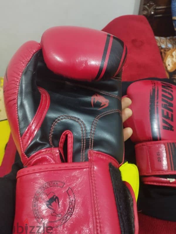 gloves venum wbc جلافز فينوم جلافز ملاكمه 4