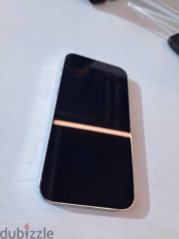 iPhone 12 pro 256 Silver 10