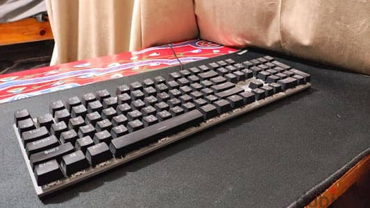 gaming keyboard (blue switches)