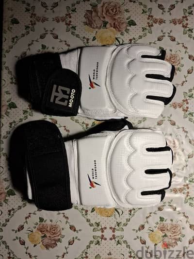 Taekwondo Gloves