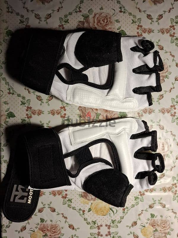 Taekwondo Gloves 1