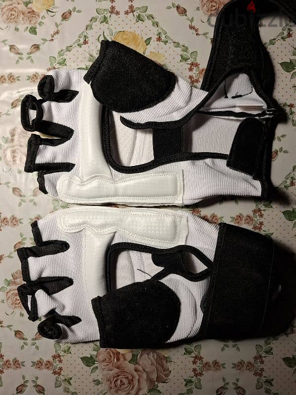 Taekwondo Gloves 2