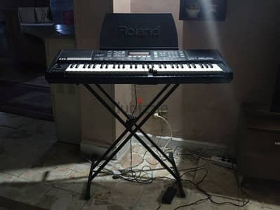 Roland Exr-46or