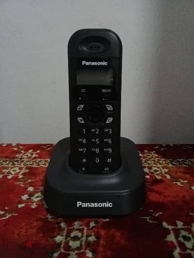 Panasonic