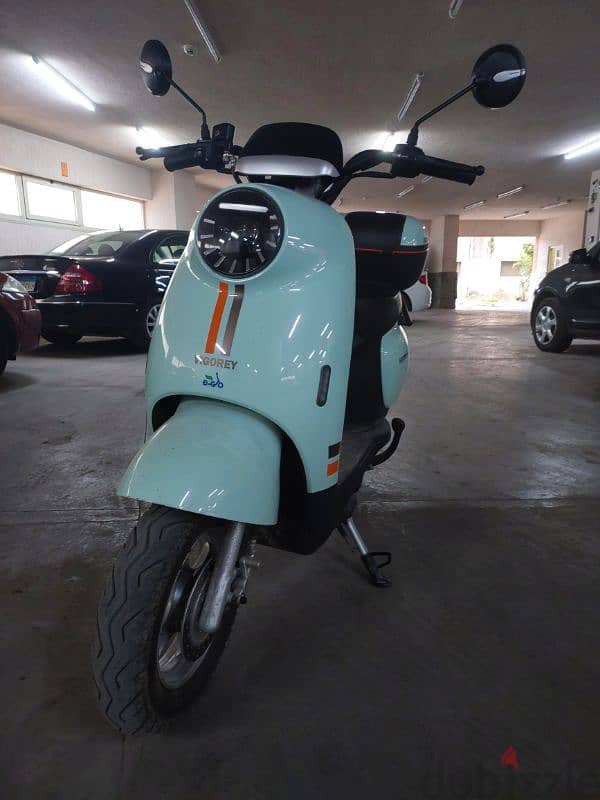 viegory electric scooter 0