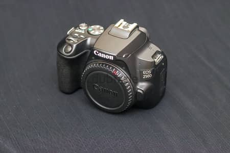 canon 250d