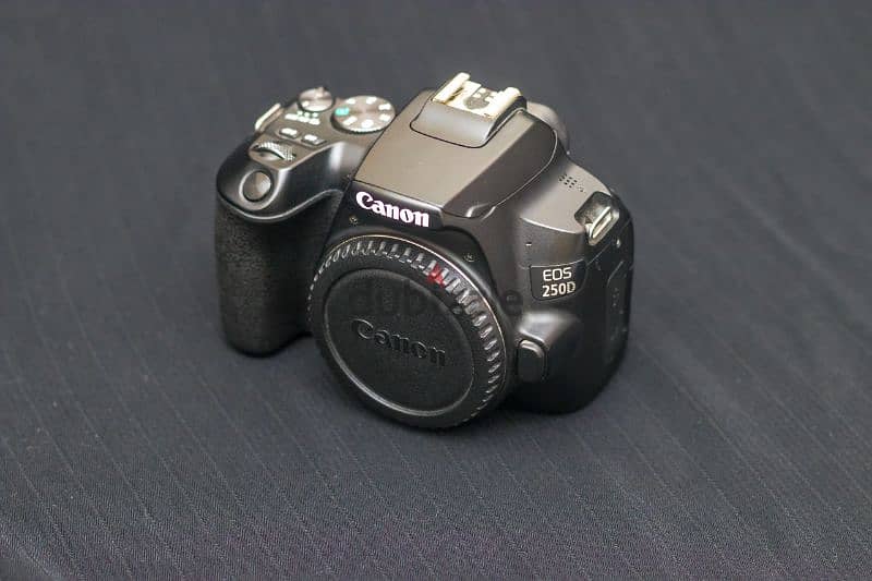 canon 250d 0