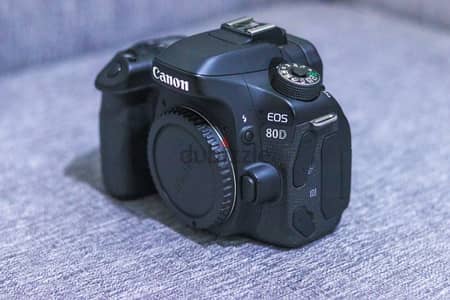 canon 80d