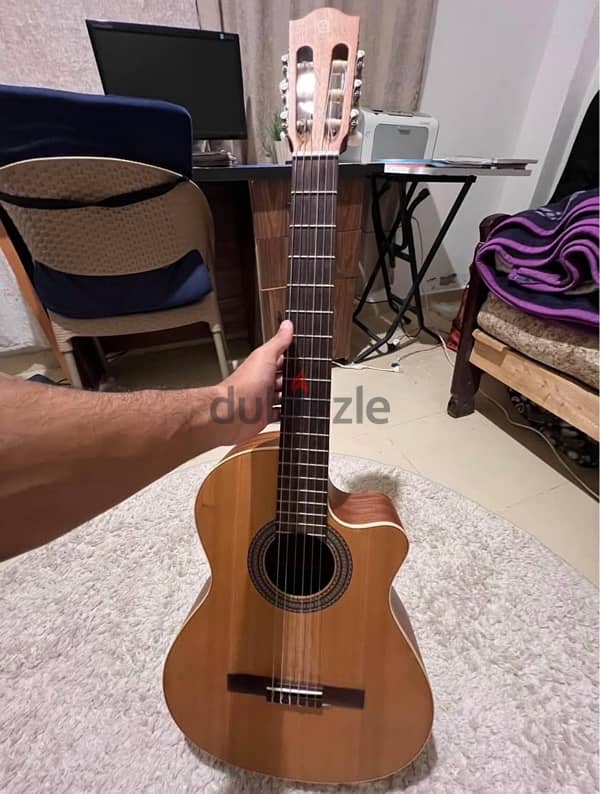 Classic guitar - Alhambra Classic Guitar - NATURE CW EZ 1