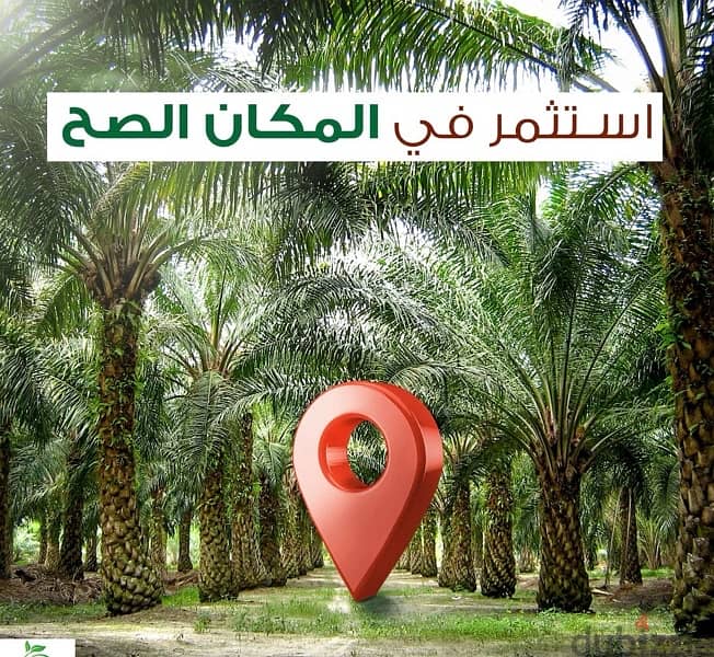 استثمر الان مع شركة البادية و امتلك ارض زراعية ( مجدول ) بتقسيط 0