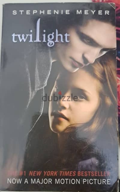 Twilight book - used