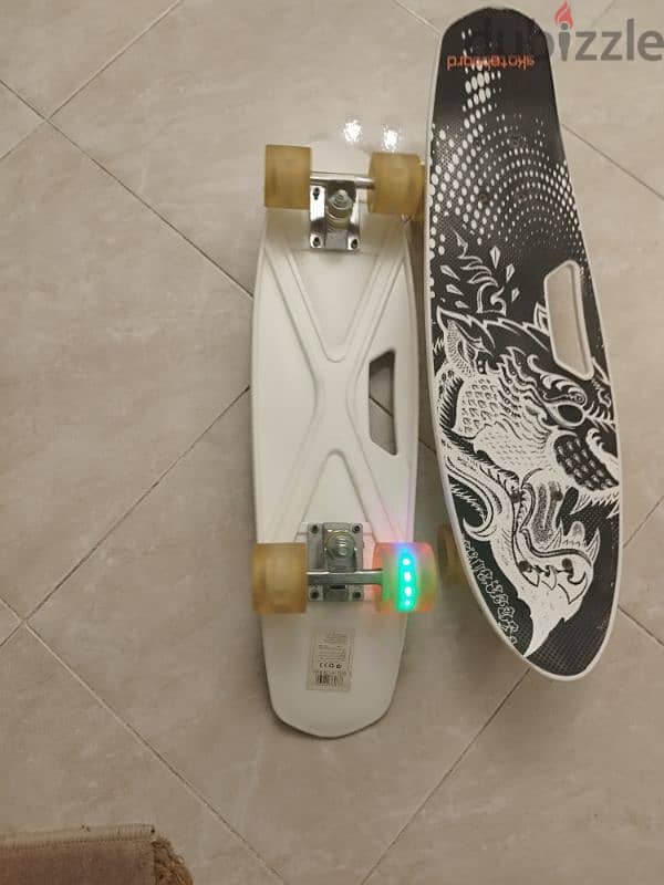 skate board 1