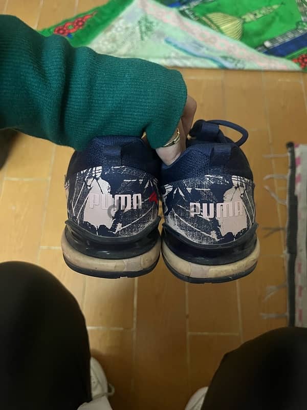 organinal puma sneaker 1