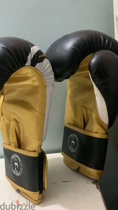 gloves kickboxing