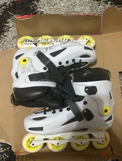 skate cougar 307 44