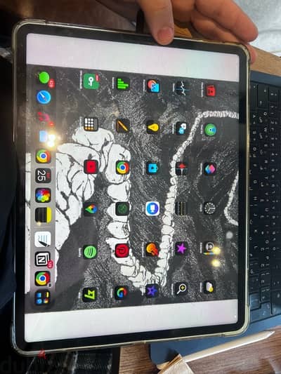 iPad Pro 12.9 inch (5th generation) 256GB