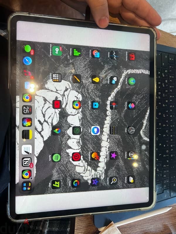 iPad Pro 12.9 inch (5th generation) 256GB 0