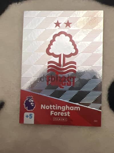 nottingham forest silver edition