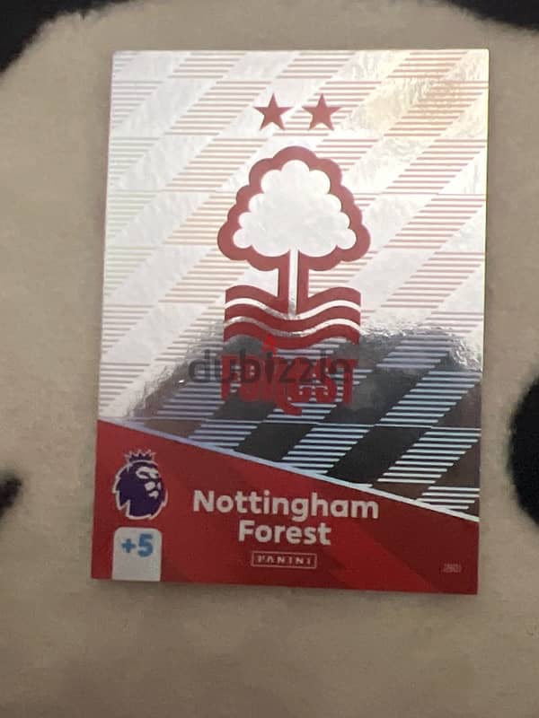 nottingham forest silver edition 0