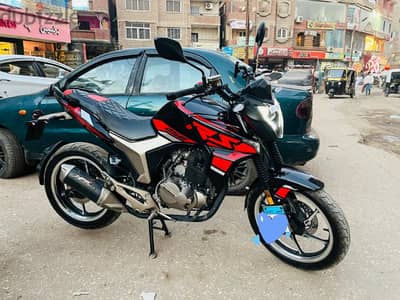 هوجن z250