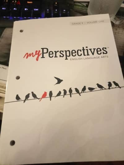 my perspective English grade 9 volume 1