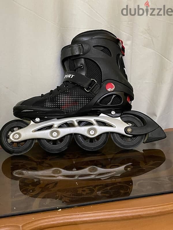 Ta sport skates 1