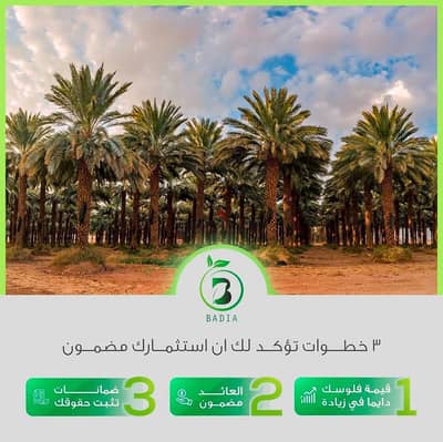 استثمر الان مع شركه البادية الاستثمارية و امتلك ارض زراعية