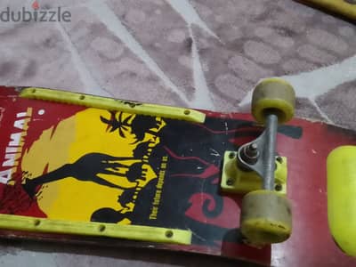 skate board