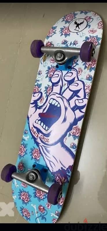 Santa Cruz Sakteboard 3