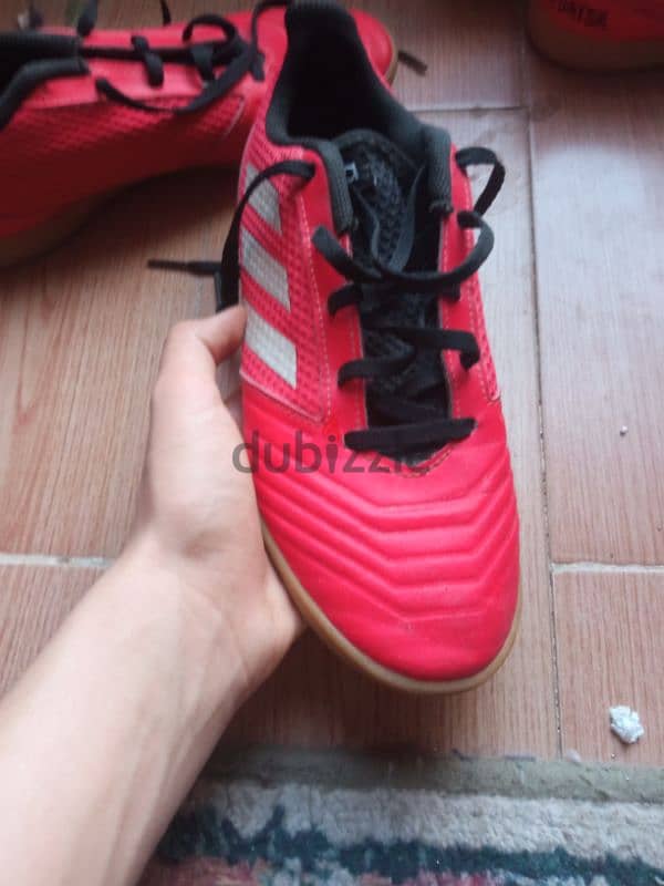 Adidas predatorاصلي(وارد الخارج)  36 و35 1