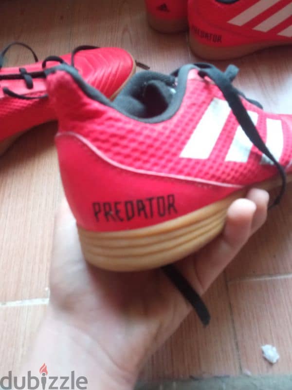 Adidas predatorاصلي(وارد الخارج)  36 و35 2