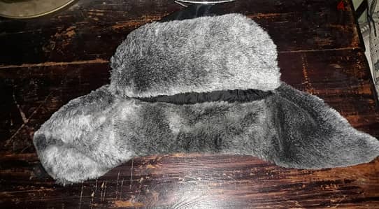 trapper hat