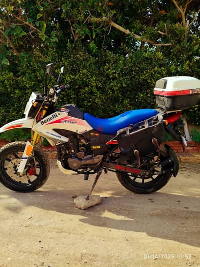 Benelli vlx 2022 بنيلي تريلا