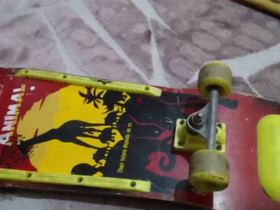 skate board