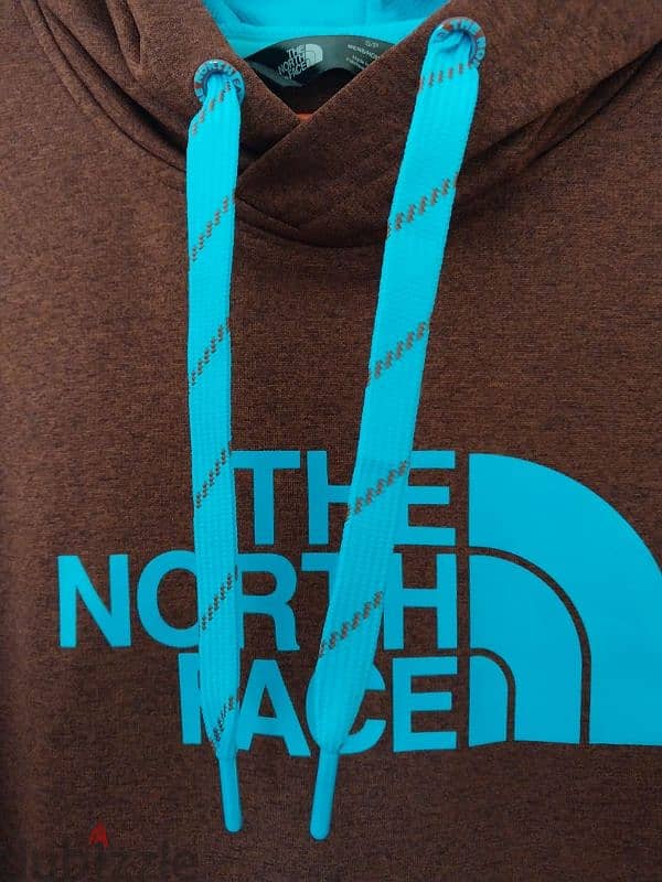 the north face hoodie 1